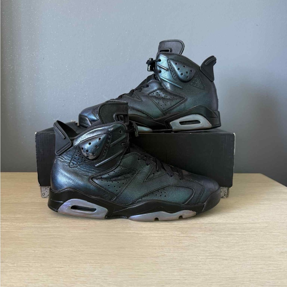 Jordan 6 chameleon